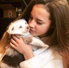 Wantedoldmotorcycles.com) pic hide this posting restore restore this posting 7 Best Australian Shepherd Breeders In Texas 2021 We Love Doodles