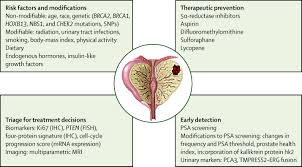 But hearing the words can still be scary. Prevention And Early Detection Of Prostate Cancer The Lancet Oncology