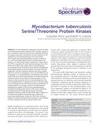 Mycobacterium tuberculosis Serine/Threonine Protein Kinases
