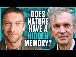 Rich Roll Reacts To The Most Controversial Athlete In Distance Running