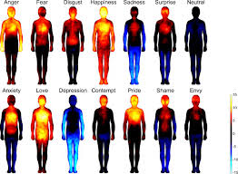A strong feeling such as love or anger, or strong feelings in general: Bodily Maps Of Emotions Pnas