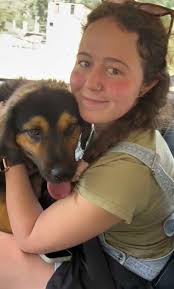 5 Things That Will Change The Way You Look At Orcas