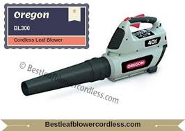 Black And Decker Electric Leaf Blower Lb700 Oregon Cordless Leaf Blowers Cordless Leaf Blowers Leaf Blowers Leaves