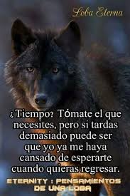 Pin De Arnoby Trujillo Giraldo En Lobos Frases Sabias Pensar En Grande Poder De La Mente