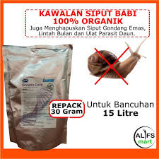 We did not find results for: Siput Babi