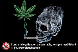 Le débat sur la légalisation du cannabis est un vieux serpent de mer. Contre La Legalisation Du Cannabis Je Signe La Petition Uni