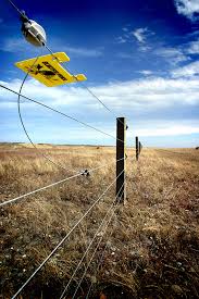A large product range and save £££. Electric Fence Introduction Blain S Farm Fleet Blog