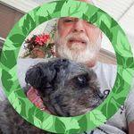 Greg Mazzeo's Instagram, Twitter & Facebook