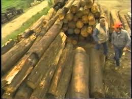 We did not find results for: Recycled Lumber Using Old Telephone Poles Youtube