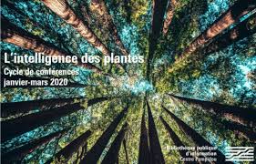 L Intelligence Des Plantes Cycle De Conferences Propose Par La Bibliotheque Publique D Information Bpi Pompi En 2020 Bibliotheque Publique Pompidou Paris Conferences