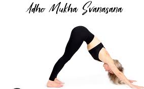 In this case the peak of the posture is the tailbone, with the heels and the palms providing a deepening foundation into the ground. Pose Of The Week Guide Downward Facing Dog Adho Mukha Svanasana Oxygen Yoga Fitness