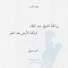 انت لي Wonder Quotes Quotes For Book Lovers Words Quotes
