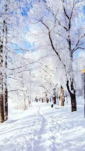 497 snowfall hd wallpapers and background images. 170 Snow Wallpaper Iphone Ideas Winter Scenes Winter Wonder Snow