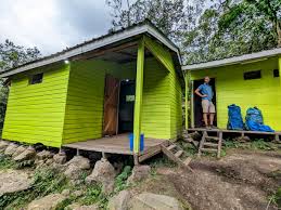 Image result for Senecio milanjianus