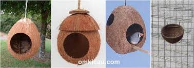 Tips membuat burung lovebird gacor: Membuat Tempat Sarang Burung Dari Pipa Pvc Batang Palem Kardus Dan Tempurung Kelapa Om Kicau