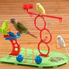 Check spelling or type a new query. Birdy Basketbal Parakeets Toys Parrots Fun