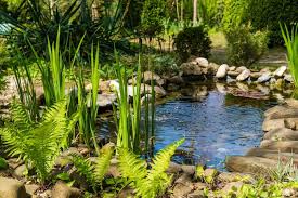 Weitere ideen zu wasserbecken garten garten gartengestaltung. 3 Wasserbecken Garten Modelle Fur Ein Perfektes Teichbecken Haus Garten Profi