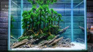 172 Keren Banged Bonsai Aquascape Tema Pinusan Subtitle English Youtube Aquascaping Bonsai Akuarium