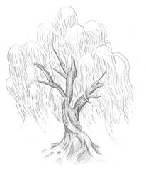 Easy drawings, how to draw a tree, how to draw step by step, pencil drawing tutorial june 26, 2020. Drawing Step By Step Simple Willow Tree Drawing