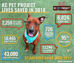 A pet adoption agency is an organization that allows people to adopt pets. 2018 Statistics Kc Pet Project