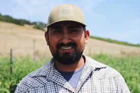 10/8 original farm box — Food Hub + Produce Stand