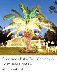 I will destroy the world the hero: 25 Best Memes About Palm Tree Lights Palm Tree Lights Memes