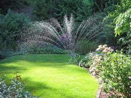 Tipps Fur Die Rasenpflege Im Herbst Rasen Bewassern Rasenpflege