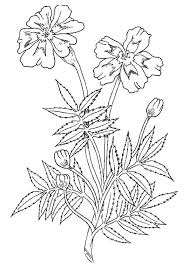 Flowers marigolds coloring pages you can now print this beautiful marigold flower coloring page or color online for free. Beautiful Printable Flowers Coloring Pages