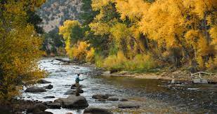 States of colorado, kansas, oklahoma, and arkansas. Arkansas River Colorado Trout Unlimited