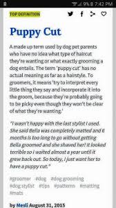 Pin On Groomer Humor