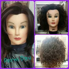 Lani Davis: Shear Indulgence