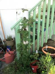 This vertical strawberry tower planter annihilates the need to dig in the ground. Vertical Gardening Urban Greenspace