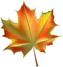 Autumn Leaf Transparent Png Maple Leaf Art Autumn Leaves Art Leaf Background