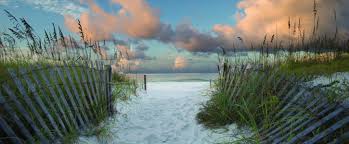 A complete guide to pulicat lake, india's second largest brackish water lagoon. Henderson Beach State Park Florida State Parks