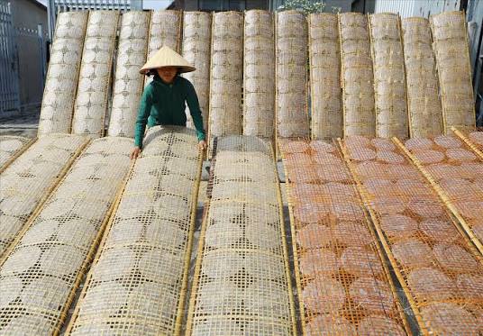 Làng bánh tráng An Ngãi