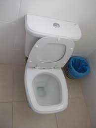 Get the bold look of kohler® in your bathroom when you buy quality toilets. Dual Flush Toilet Wikipedia