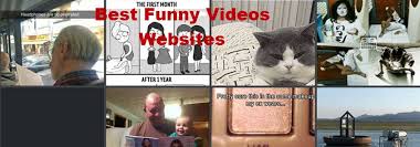 Funny pictures are not limited to jokes; Best Websites To Watch Funny Videos When You Are Bored 2021