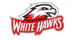 Buffalo B1 vs Mound Westonka SB1