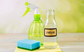 Thermoses have become handy for everyday use. How To Clean A Thermos Bottle Remove Coffee And Tea Stains
