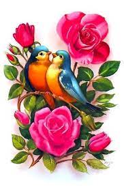 Love beautiful art flowers photos. Delightful Couple Of Bluebirds Sitting On The Rosebush Color Colorful Tags Amazing Beautiful Awesome Bird Art Flower Painting Bird Drawings