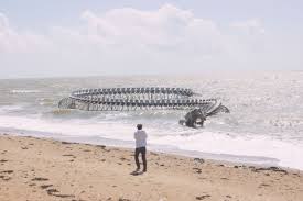 Serpent D Ocean Est Une œuvre De L Artiste Huang Yong Ping Representant Un Long Squelette De Serpent De Mer Elle Est Installee Voyage A Nantes Nantes Voyage