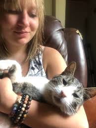 Lost Cat Gizmo in Greeley Area