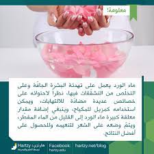 فوائد جديدة لماء الورد الرائع هذه المرة فوائد ماء الورد للبشرة وللشعر Anti Aging Skin Care Uig Skin Care
