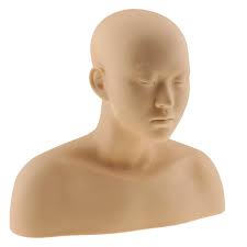 The bones of your skull surround and protect your brain and also provide support to your face. Soft Silicone Massage Makeup Practice Training Mannequin Head Shoulder Bone Amazon In Home Kitchen