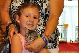 SAFFARI rescue holds kitty 'speed-dating' adoption event