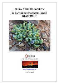 Image result for Salsola rabieana