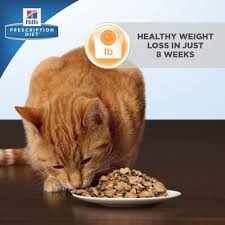 Hill S Prescription Diet R D Weight Reduction Chicken Flavor Canned Cat Food 5 5 Oz Case Of 24 Petco Canned Cat Food Chicken Flavors Petco