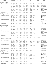Check spelling or type a new query. Cheektooth Measurements Mm Of Adult Specimens Of Equus From Dry Download Table