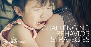 Understanding and Addressing Common Challenging Behaviors in Young Children