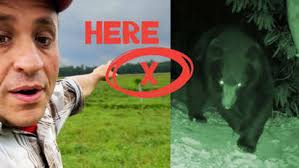 A massive black bear is spotted roaming my farm land